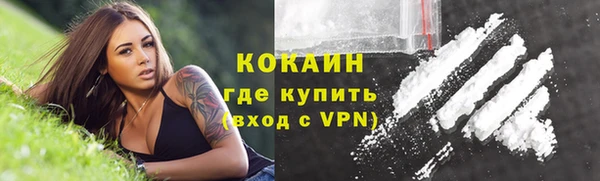 a pvp Бородино
