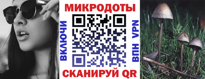 Галлюциногенные грибы Psilocybe  omg вход  Карталы 